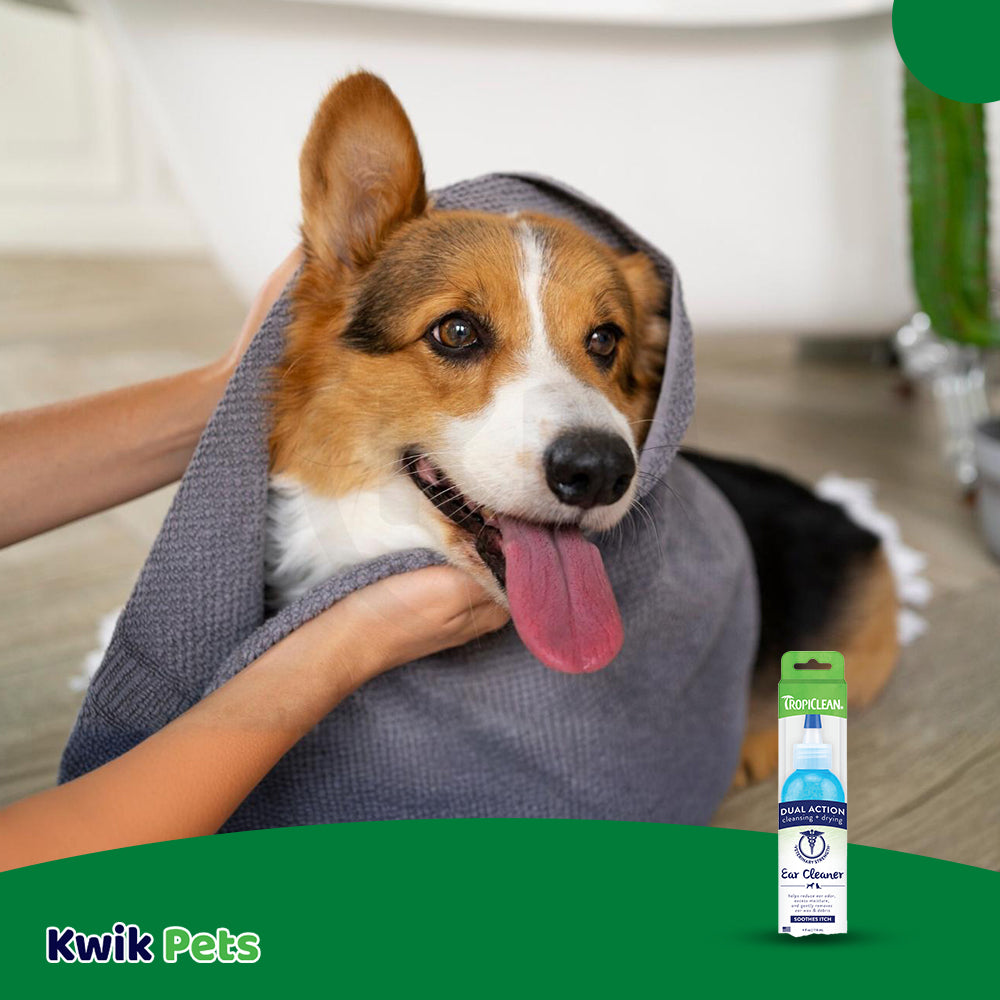 LifeStyle of TropiClean Dual Action Ear Cleaner for Dogs & Cats 4-oz