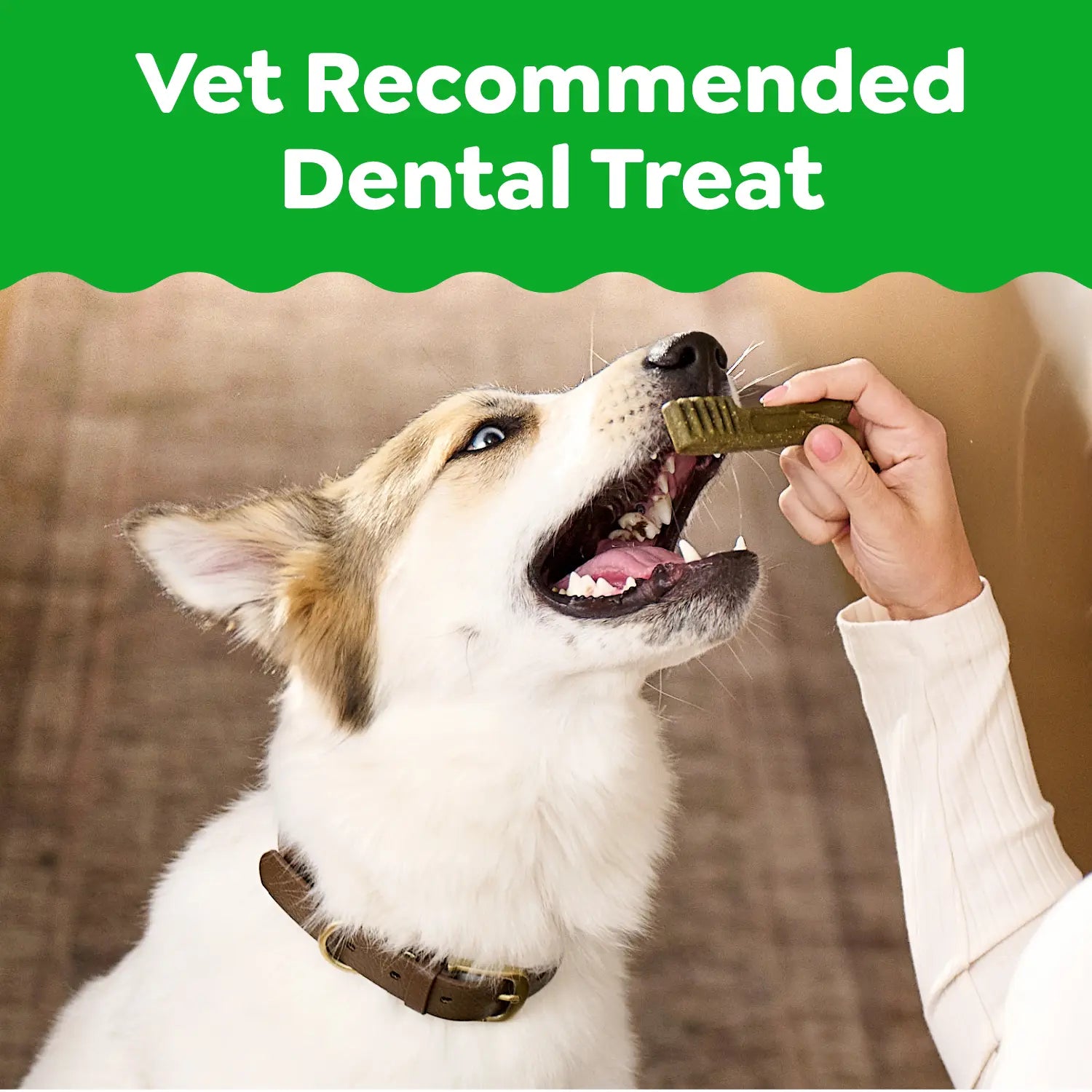 LifeStyle of Greenies Original Dog Dental Treats Regular 36-oz 36 Count
