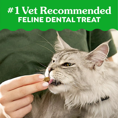 LifeStyle of Greenies Feline Savory Salmon Adult Cat Dental Treats 21-oz