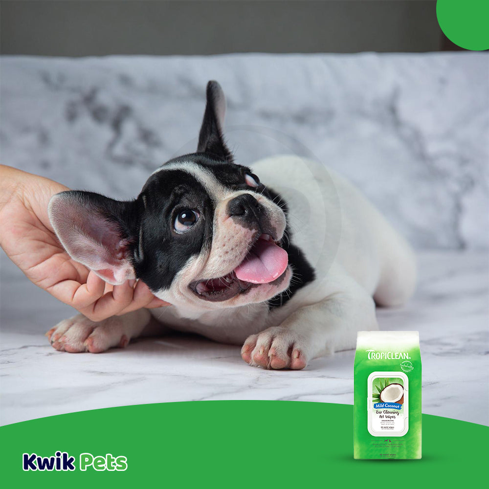 Lifestyle of TropiClean Mild Coconut Deodorizing Ear Cleaning Wipes for Dogs & Cats 50 Count