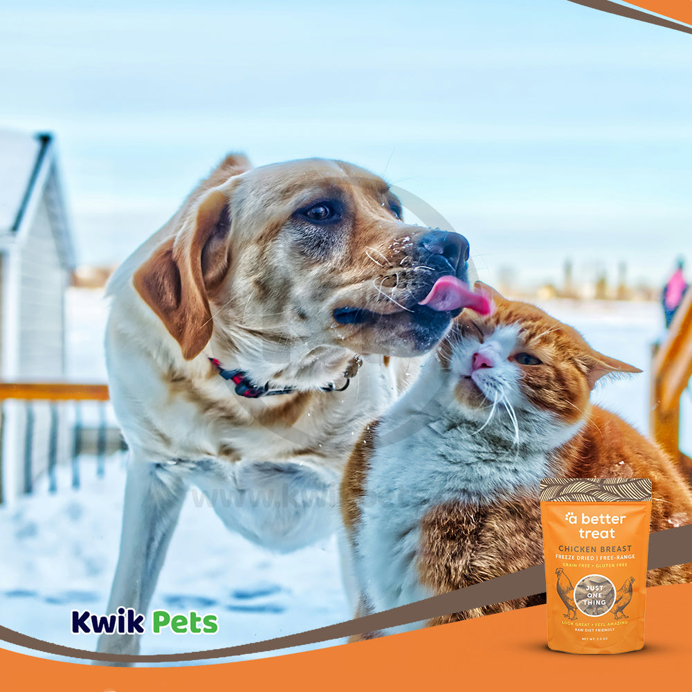 LifeStyle of A Better Treat Just One Thing Freeze Dried Dog & Cat Treats Free Range Chicken Breast 3-oz