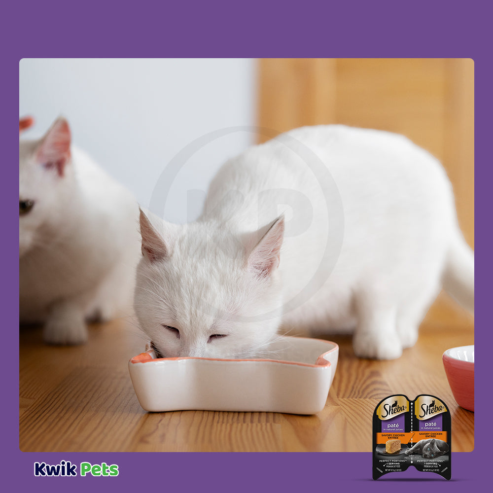 LifeStyle of Sheba Perfect Portions Pate Wet Cat Food Savory Chicken 2.6-oz