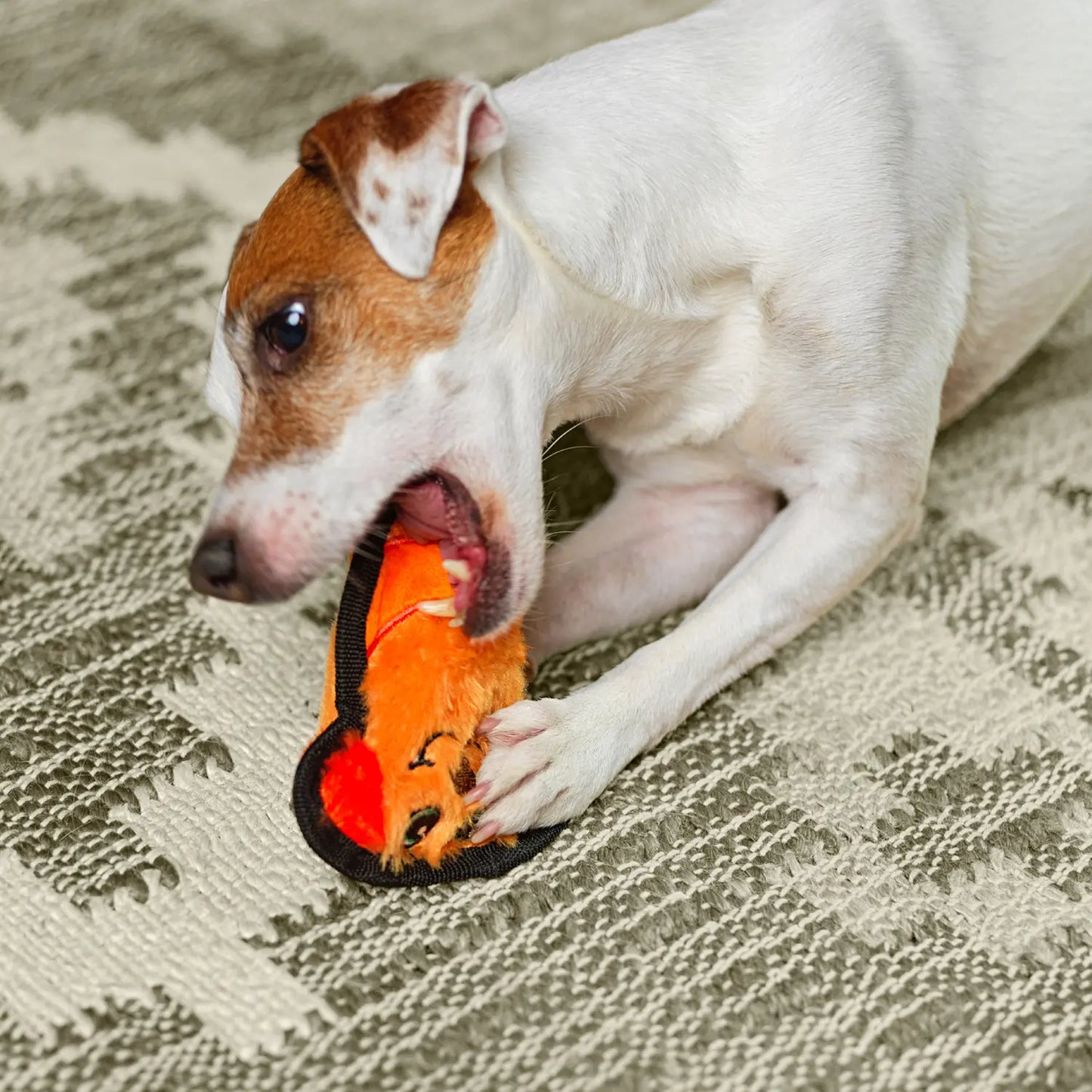 LifeStyle of Outward Hound Invincibles Mini Dog Toy Dog XS