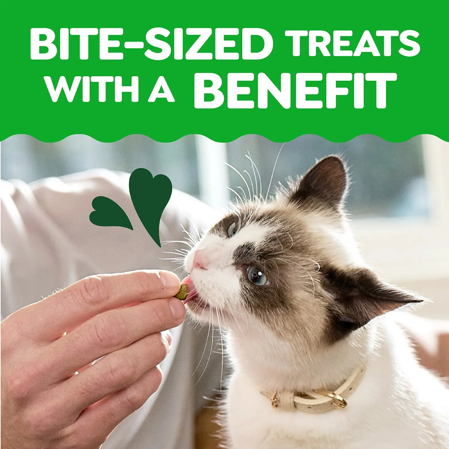 LifeStyle of Greenies Feline Smartbites Healthy Skin & Fur Health Cat Treats Chicken 2.1-oz