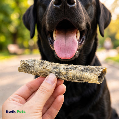 Lifestyle of Savory Prime Cod Skin Fish Strips Dog Treats 4-oz