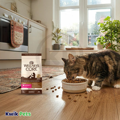 LifeStyle of Wellness CORE Grain-Free Adult Dry Cat Food Turkey, Turkey Meal & Duck Recipe 5-lb