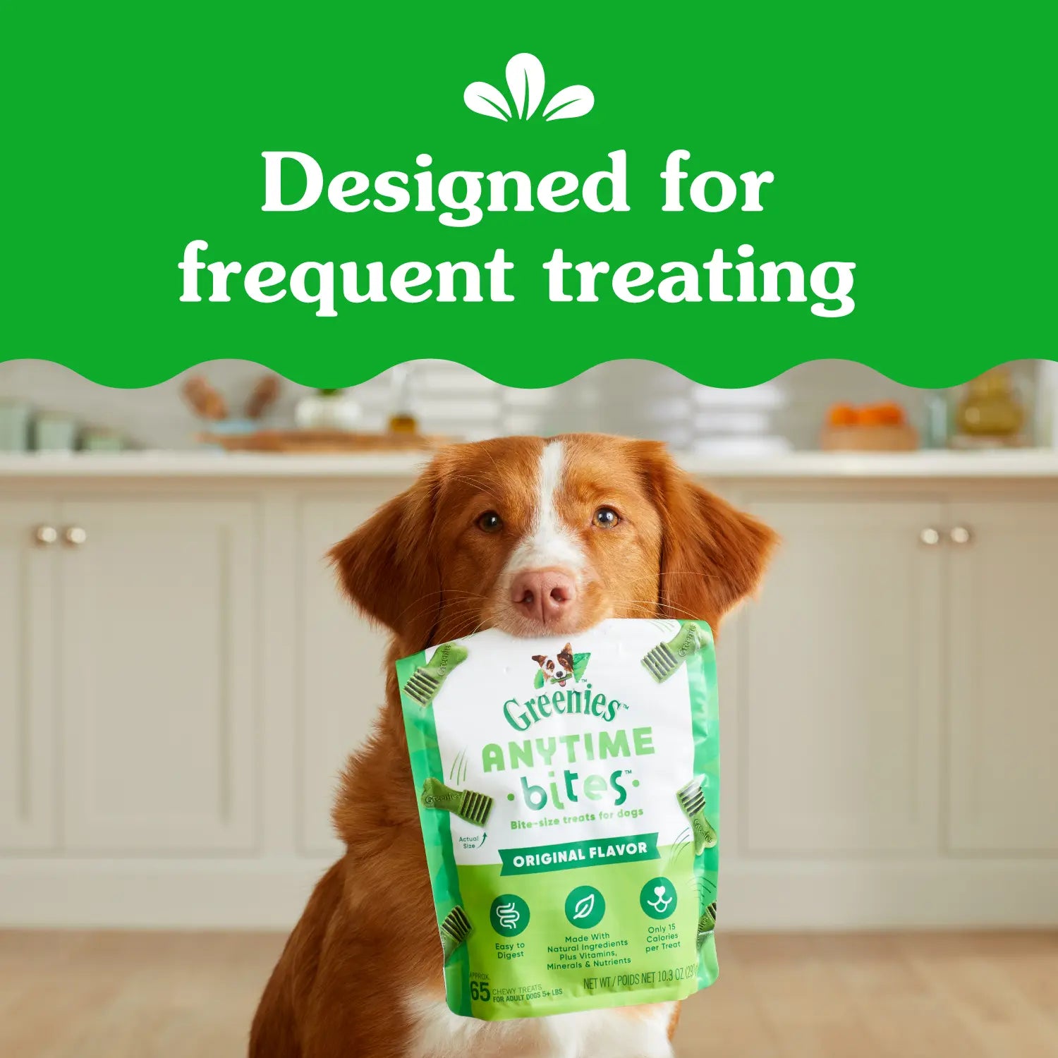 LifeStyle of Greenies Anytime Bites Bite-Size Dog Dental Treats Mint 10.3-oz