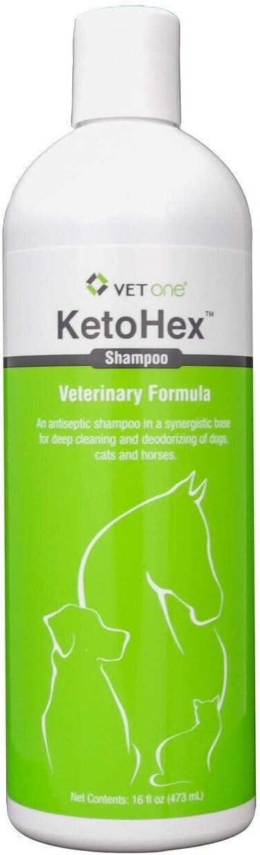 VetOne KetoHex Shampoo for Dogs Cats & Horses 16-oz