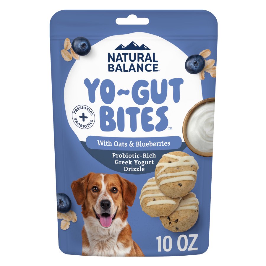 Natural Balance Yo-Gut Bites Dog Treats Oats & Blueberries 10-oz