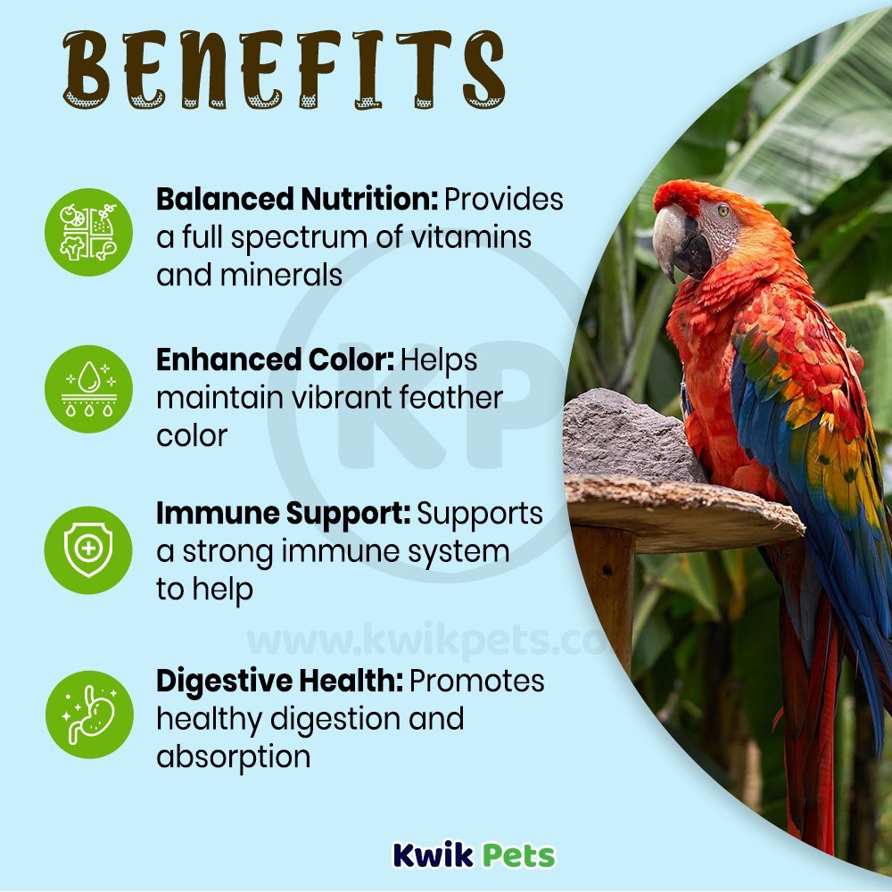 Benefits of Oasis VITA E-Z-MIST Multivitamin Spray for Big Birds 2-oz