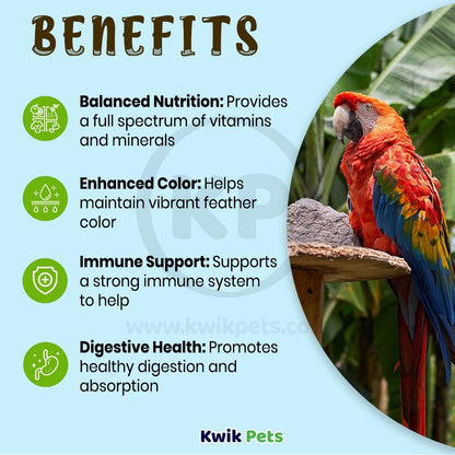 Benefits of Oasis VITA E-Z-MIST Multivitamin Spray for Big Birds 2-oz