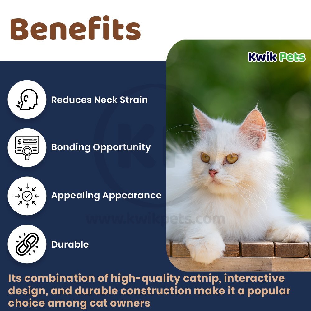 Benefits of OurPets Cosmic Catnip Teaser Go Fish! Cat Toy