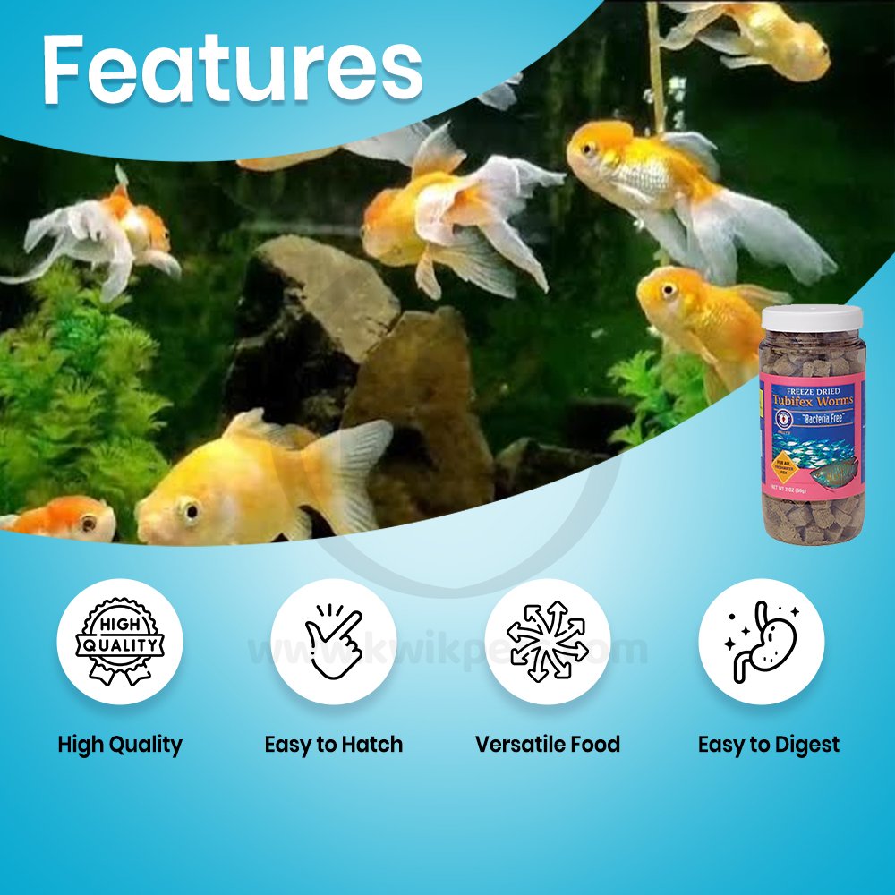 San Francisco Bay Brand Bacteria Free Tubifex Worms Freeze-Dried Fish Food 2-oz, Kwik Pets