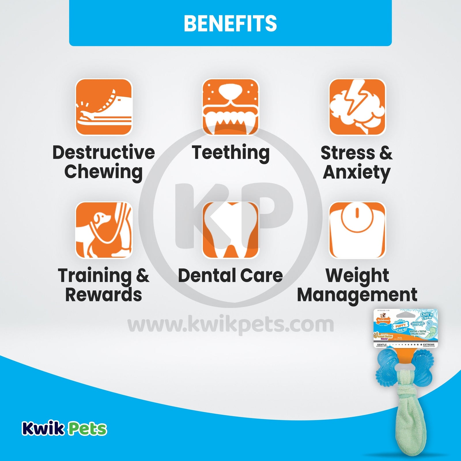 Benefits of Nylabone Freezer Puppy Chew Toy for Teething Peanut Butter Small/Regular - Up To 25 Ibs