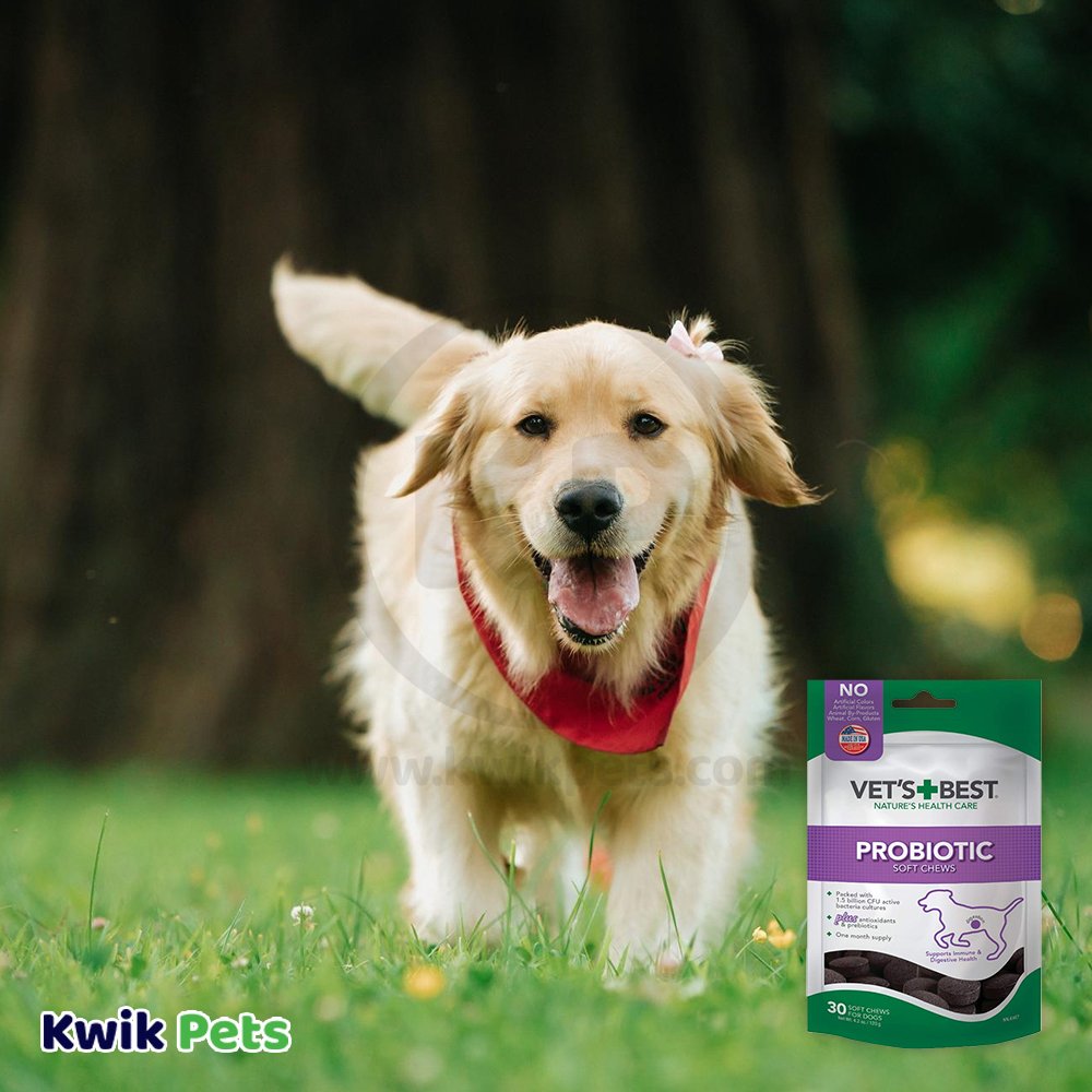 Vet's Best Probiotic Chicken Flavored Soft Chews Digestive Supplement for Dogs, 4.2 oz, Vet's Best
