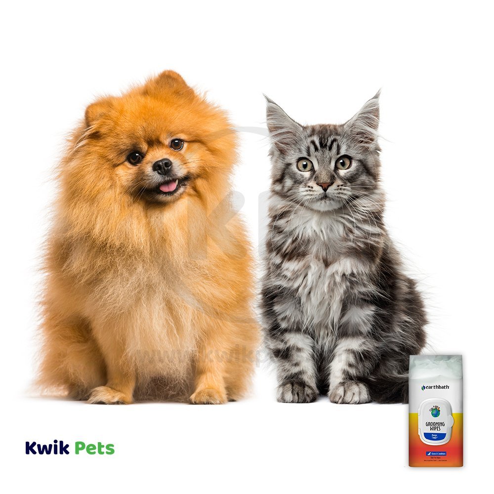 Cute pet with Earthbath Grooming Wipes Mango Tango 100 Count