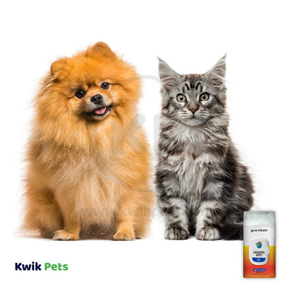 Cute pet with Earthbath Grooming Wipes Mango Tango 100 Count