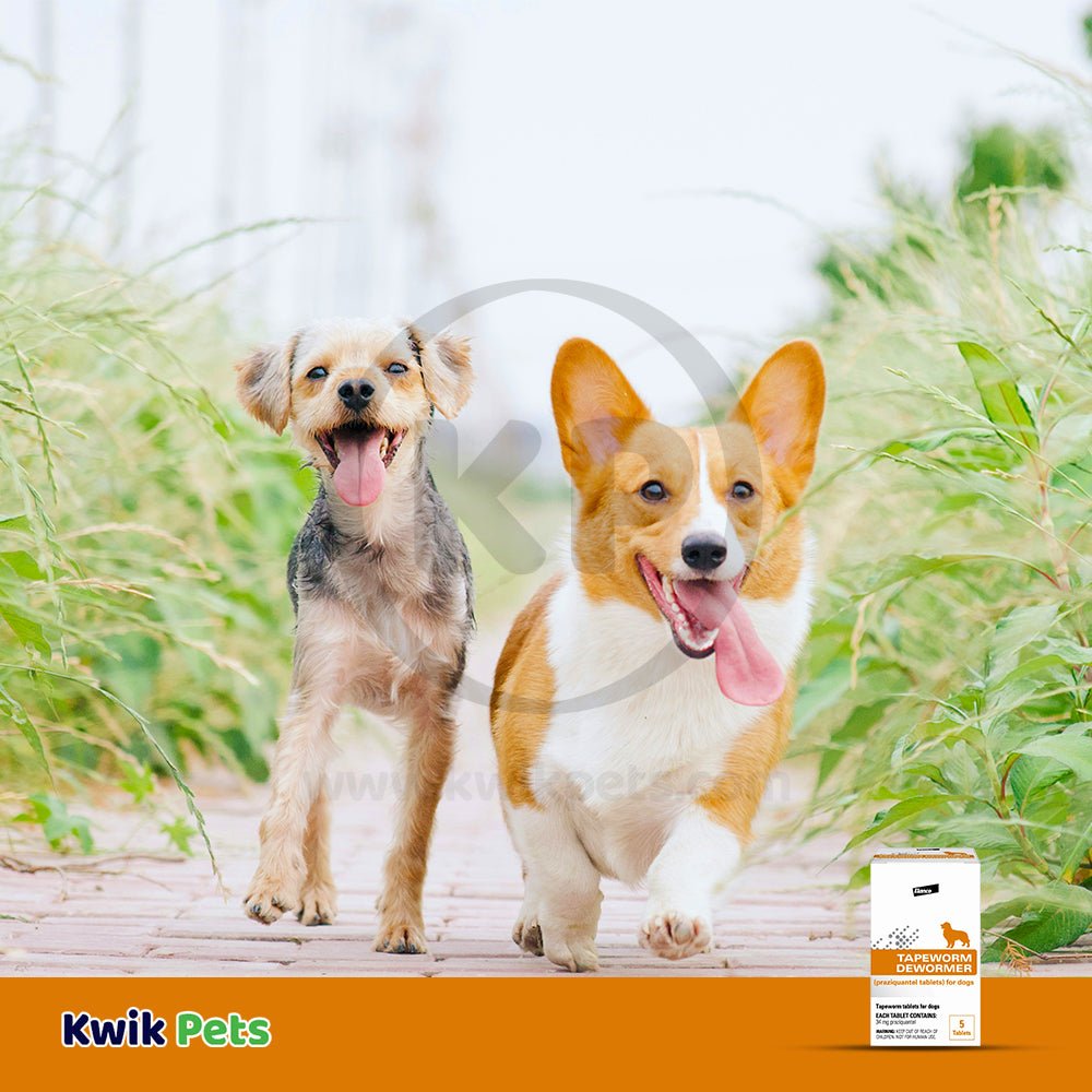 Elanco Tapeworm Dewormer (praziquantel tablets) for Dogs & Puppies 5 Count