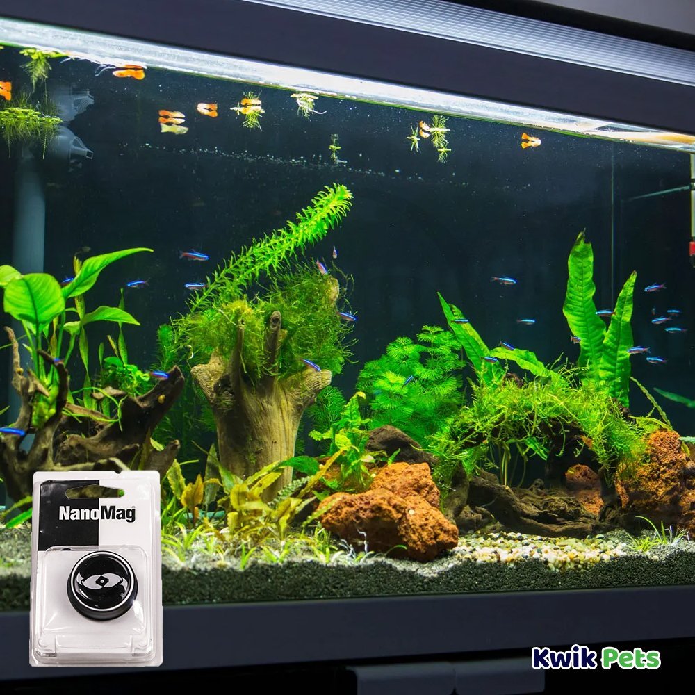 Two Little Fishies NanoMag Window Cleaning Magnet, Kwik Pets