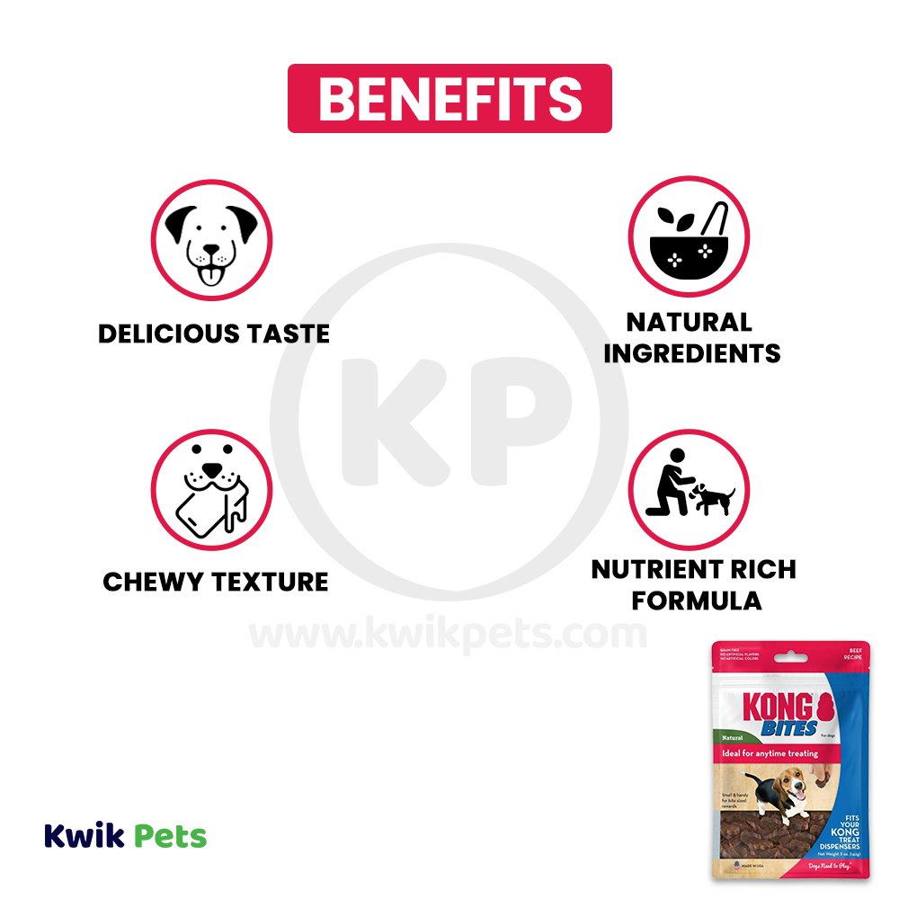 KONG Bites Dog Treats Regular, Beef, 5-oz, KONG