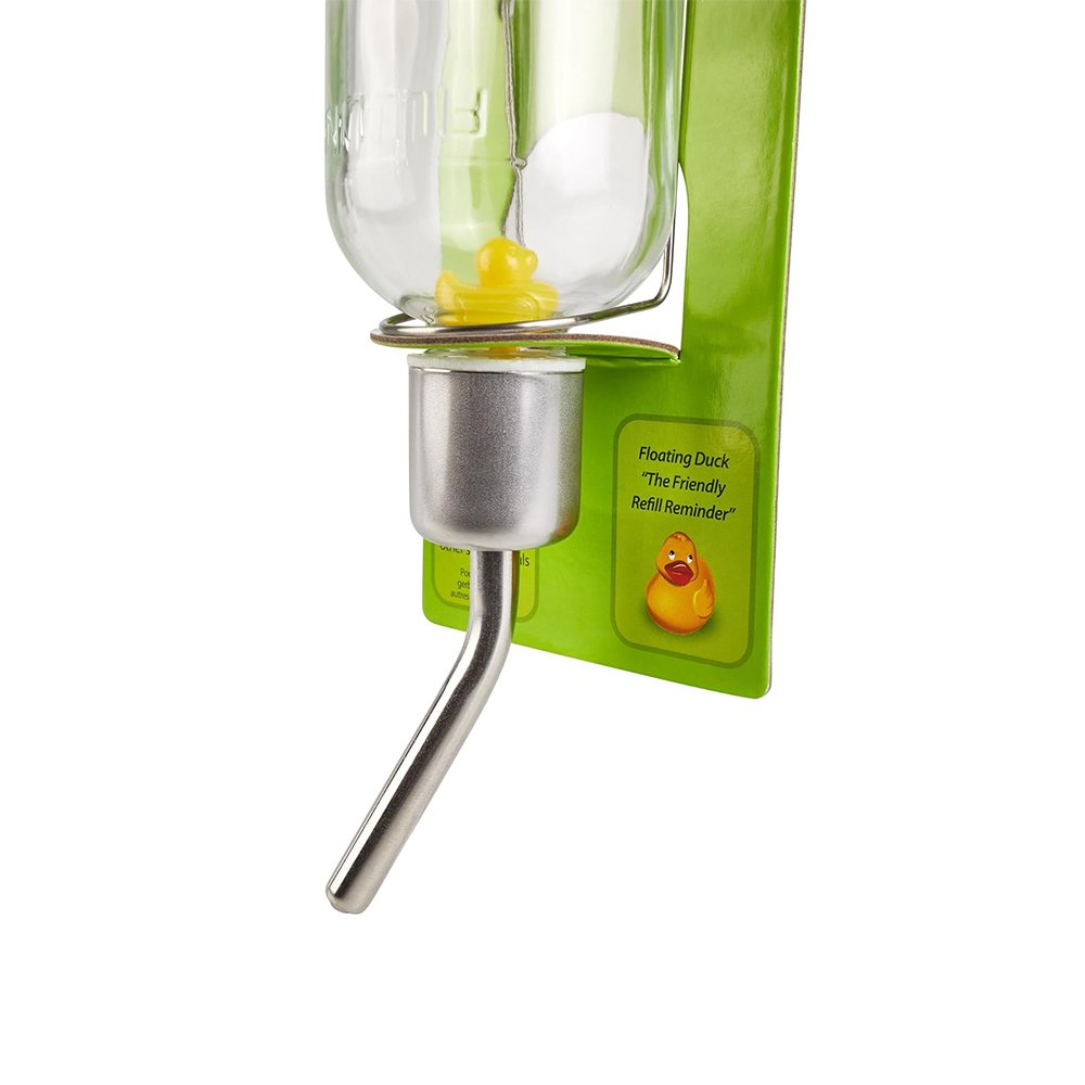 Front of Kaytee Chew-Proof Water Bottle Clear 6-oz