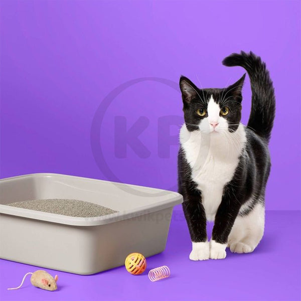 Boxiecat Air Lightweight Extra Strength Premium Clumping Cat Litter 11.5-lb