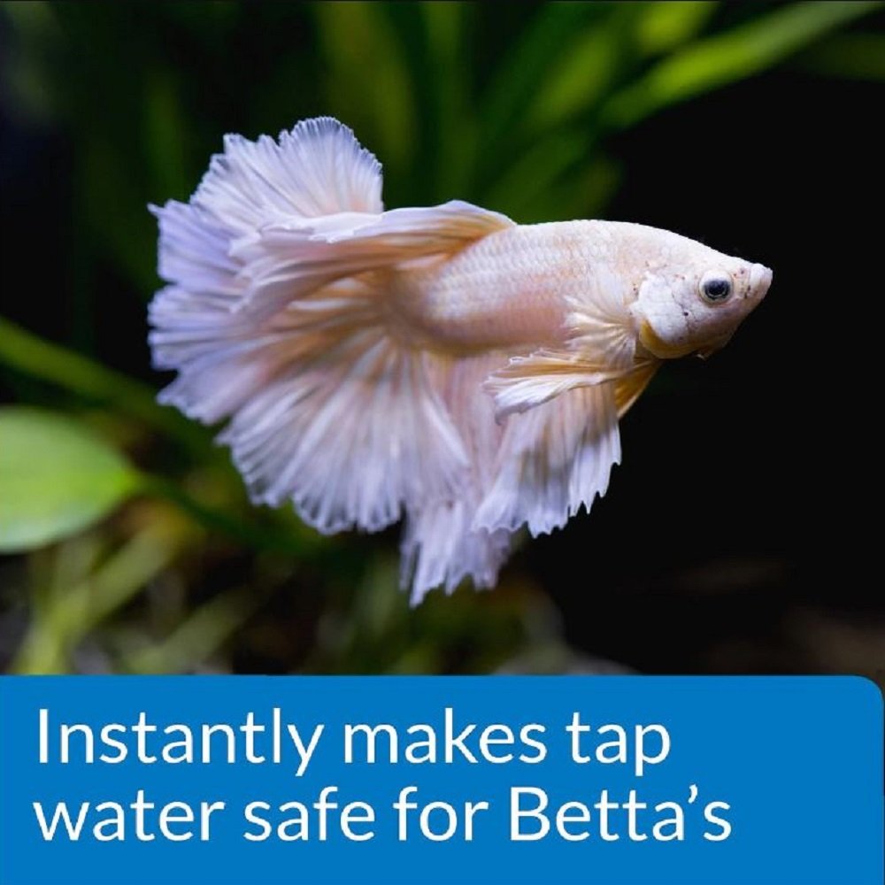 API Betta Aquarium Water Conditioner, 1.7-oz bottle, API