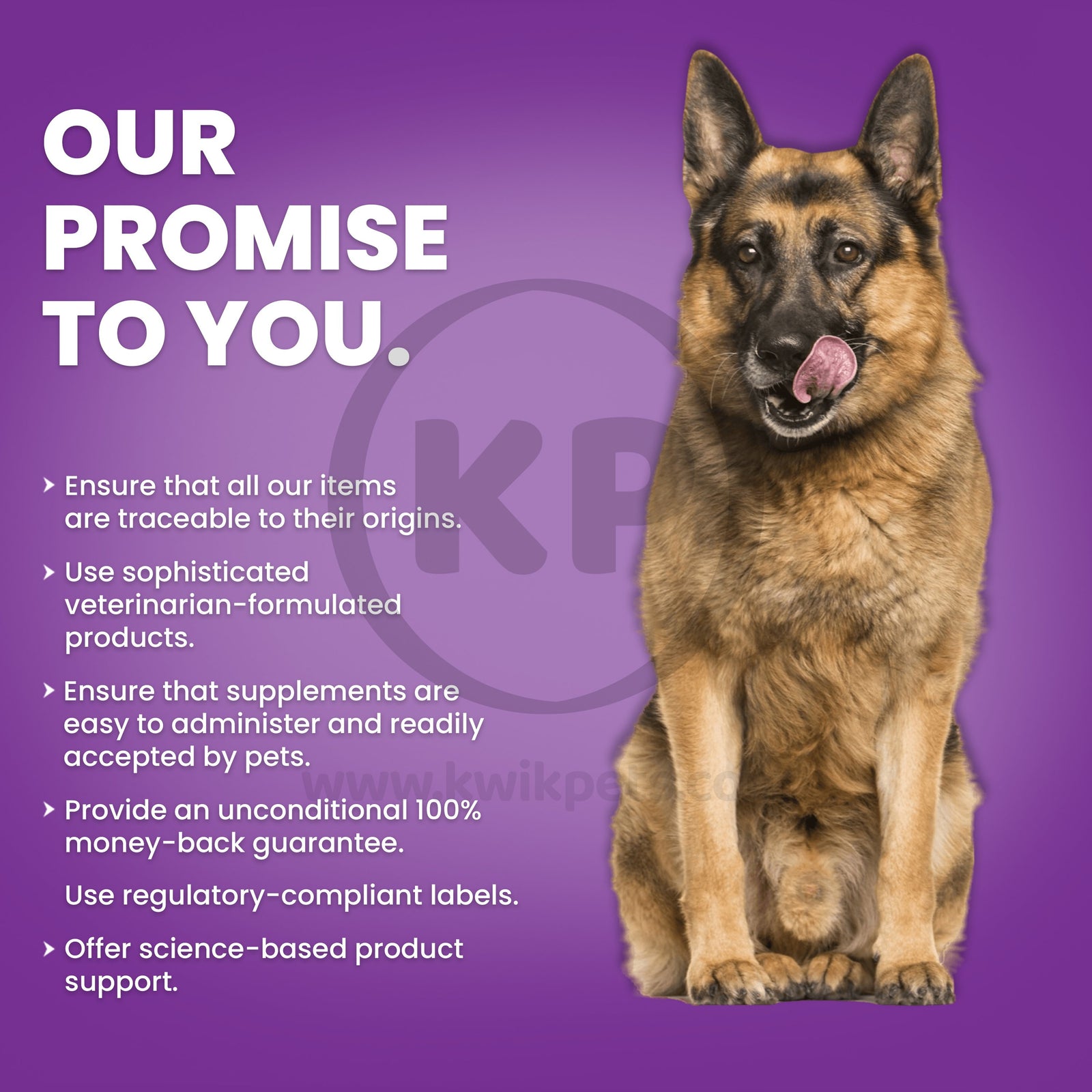 Nutri-Vet Probiotics for Dogs Benefits
