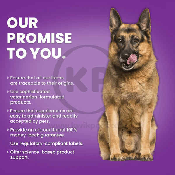 Nutri-Vet Probiotics for Dogs Benefits