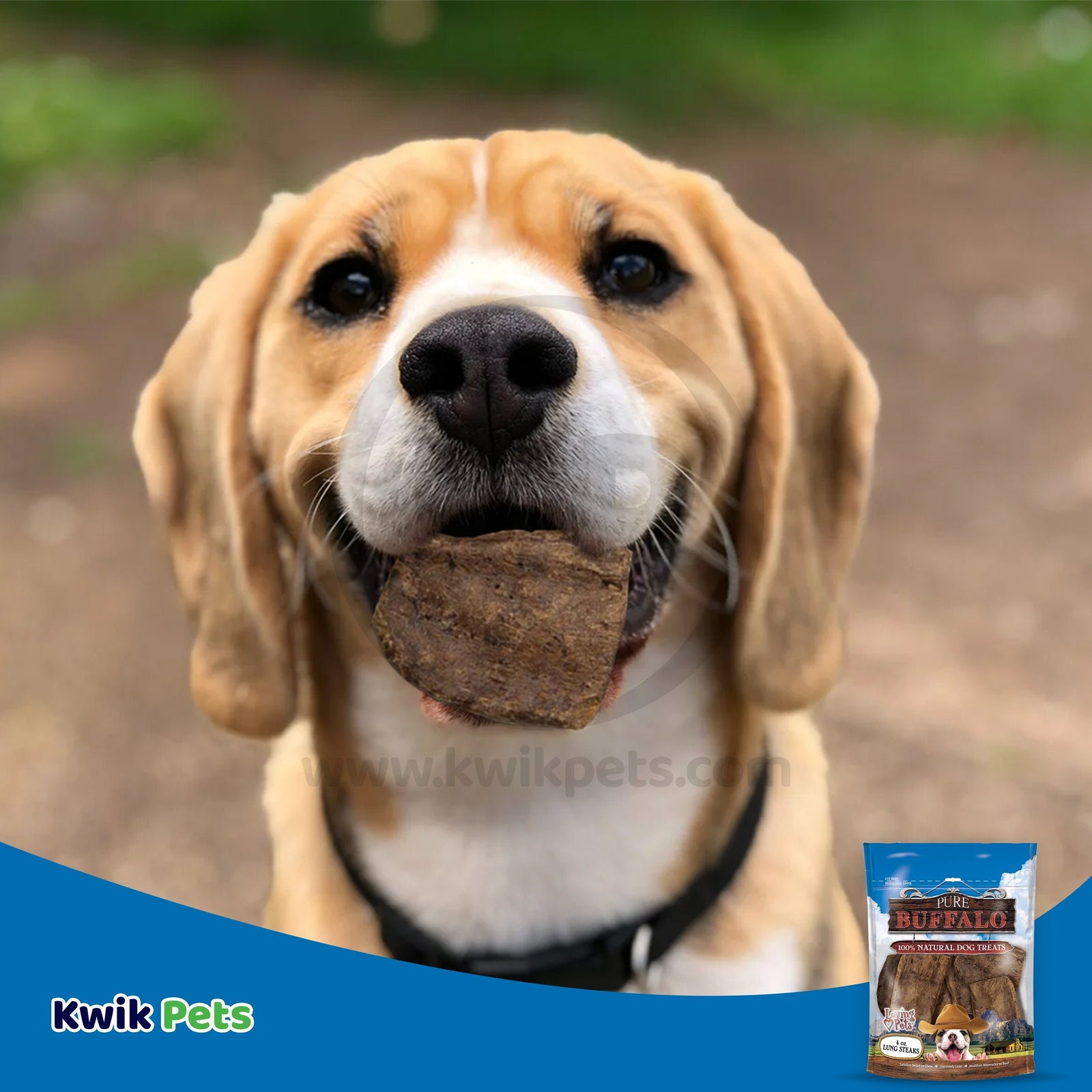 Loving Pets Pure Buffalo Lung Steaks Dog Treat