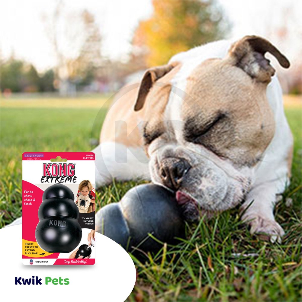 KONG Extreme Dog Toy Black XL, Kwik Pets