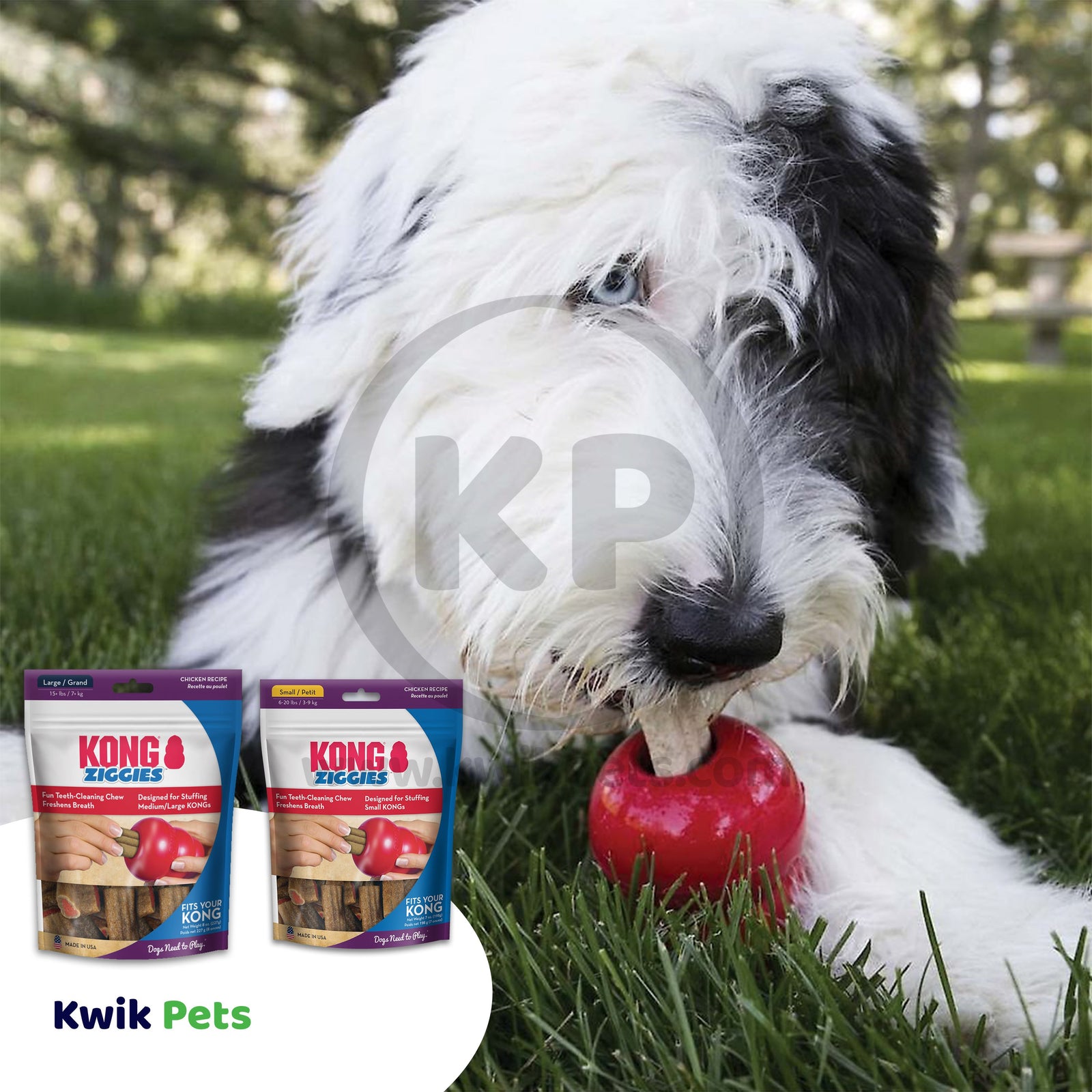 KONG Stuff'N Ziggies Dog Treat Large