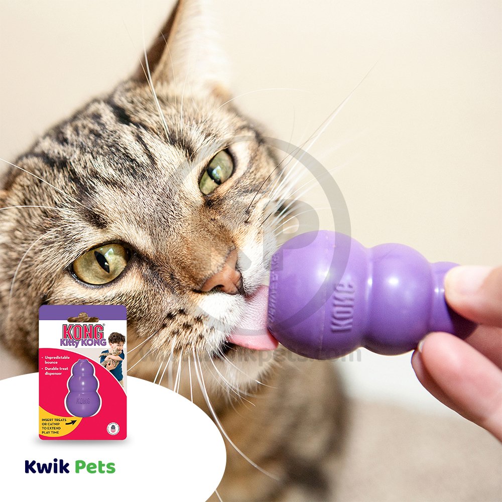 Cat with KONG Kitty Catnip Toy Purple One Size