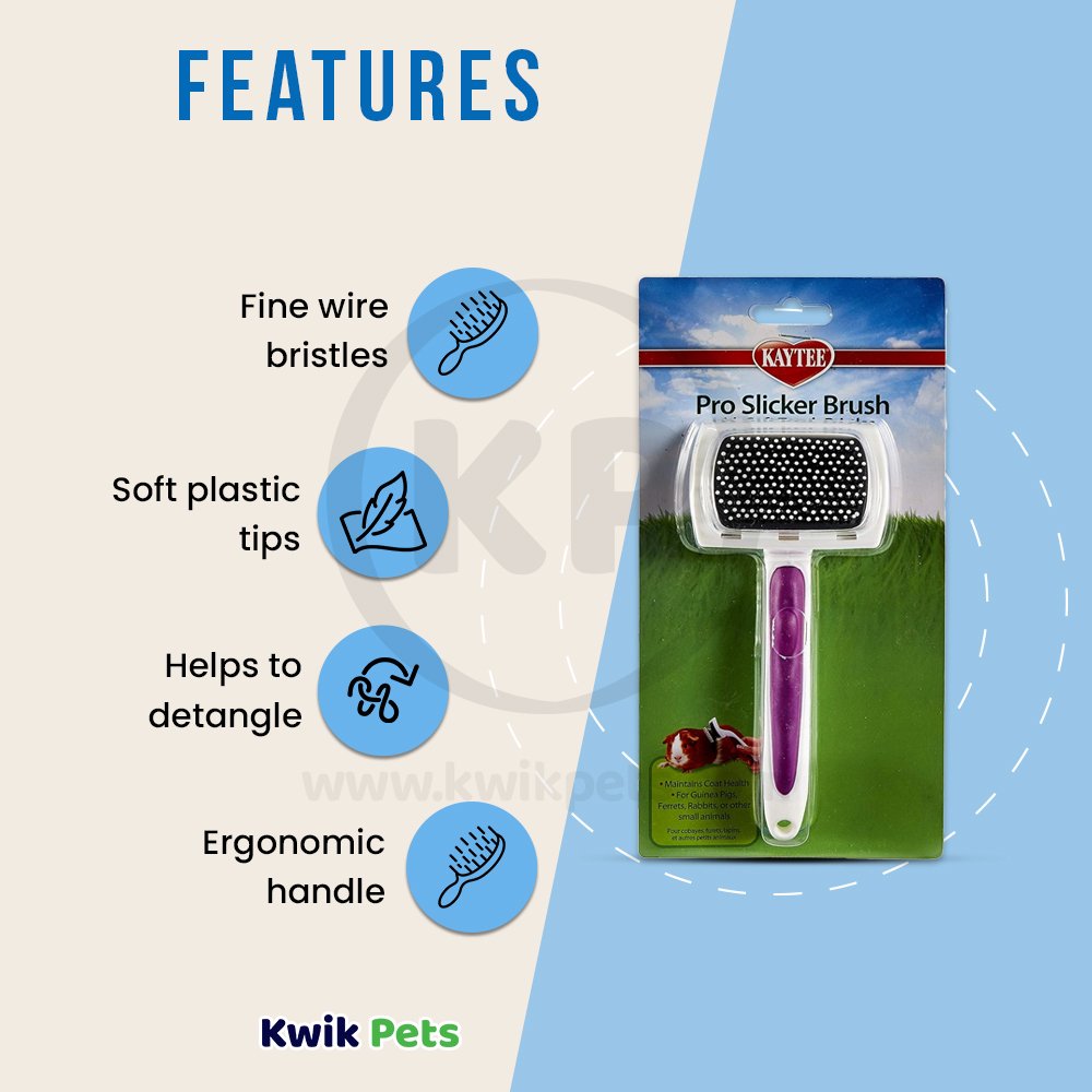 Kaytee Pro-Slicker Brush White, Kaytee