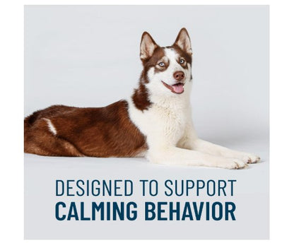 Nutramax Solliquin Soft Chew Calming Behavioral Health Supplement for Dogs 75 Count Large