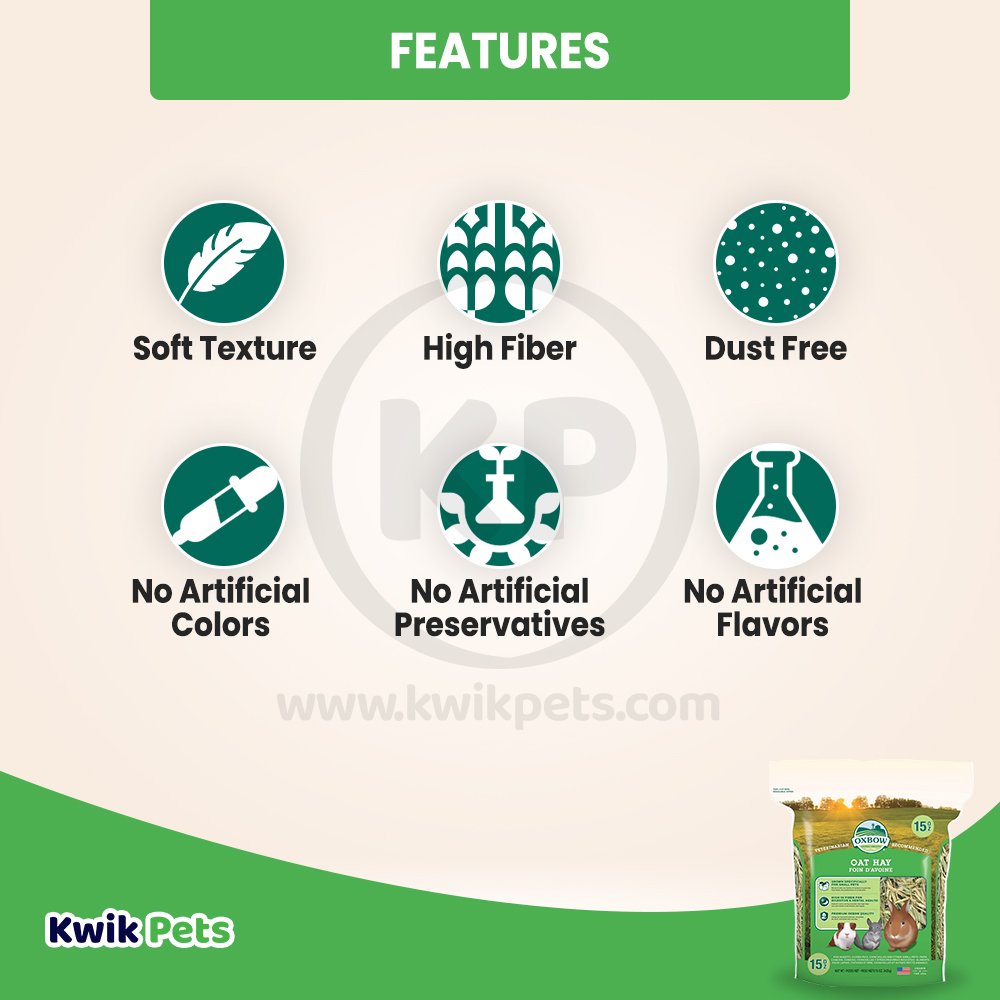 Oxbow Animal Health Oat Hay Small Animal Treat, 15-oz, Oxbow