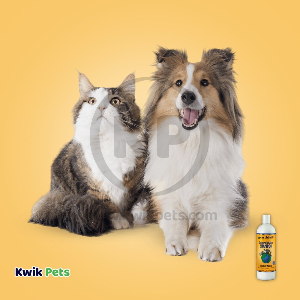 Cat and Dog Image of Earthbath Oatmeal & Aloe Pet Shampoo Vanilla & Almond 16-oz