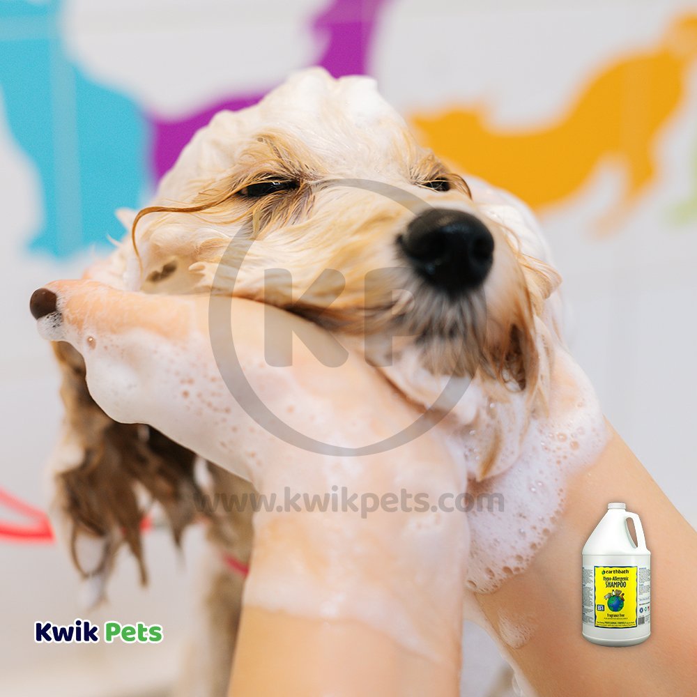 Dog Image of Earthbath Hypo-Allergenic Pet Shampoo Fragrance Free 128-oz