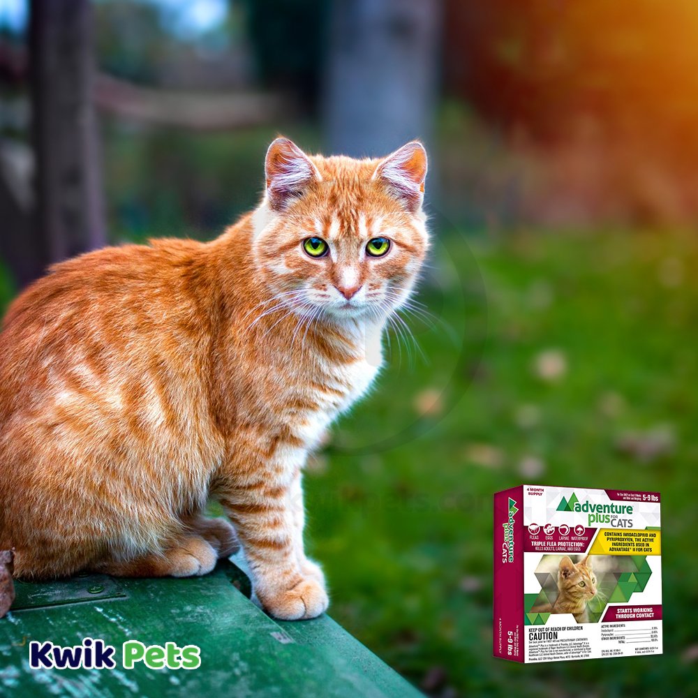Promika Adventure Plus 4-Month Supply Flea & Tick Prevention for Cats between 5-9 lbs 4 Count, Kwik Pets