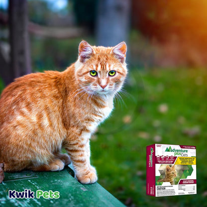 Promika Adventure Plus 4-Month Supply Flea & Tick Prevention for Cats between 5-9 lbs 4 Count, Kwik Pets