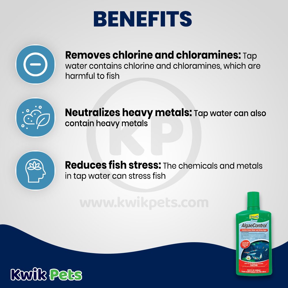Tetra Pond Algae Control Water Treatment 16.9-oz, Kwik Pets