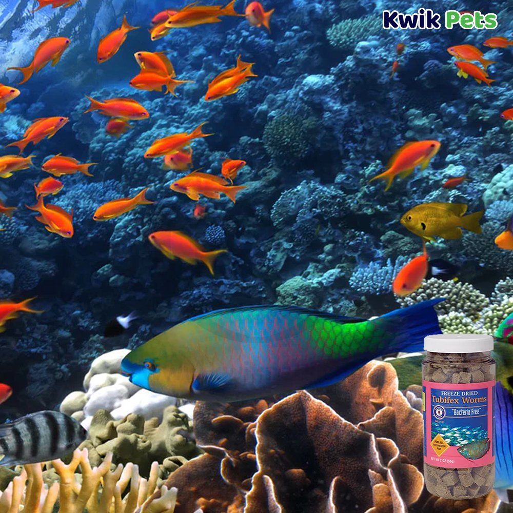 San Francisco Bay Brand Bacteria Free Tubifex Worms Freeze-Dried Fish Food 2-oz