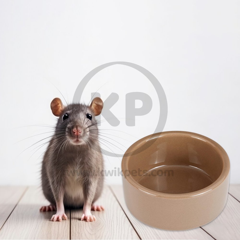 Kaytee Stoneware Hamster Dish 3in Diameter, Kaytee