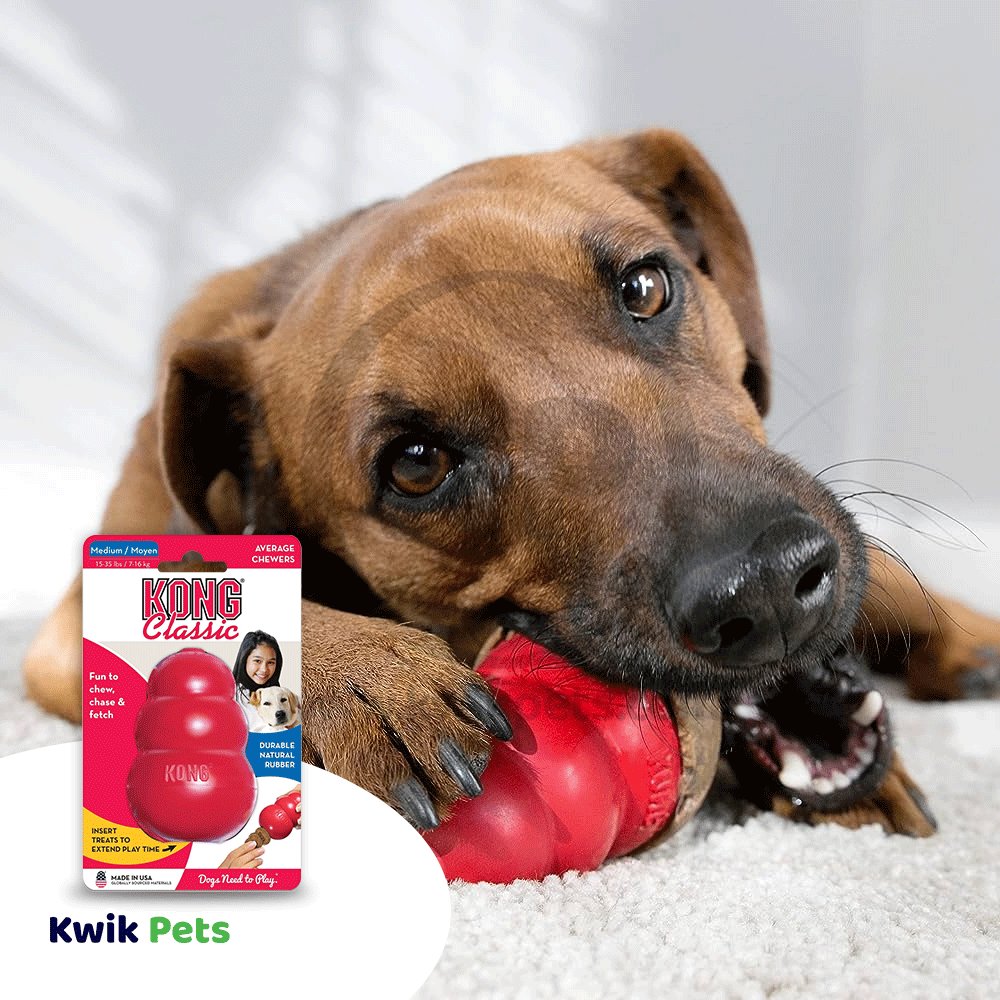 KONG Classic Dog Toy, Medium, KONG