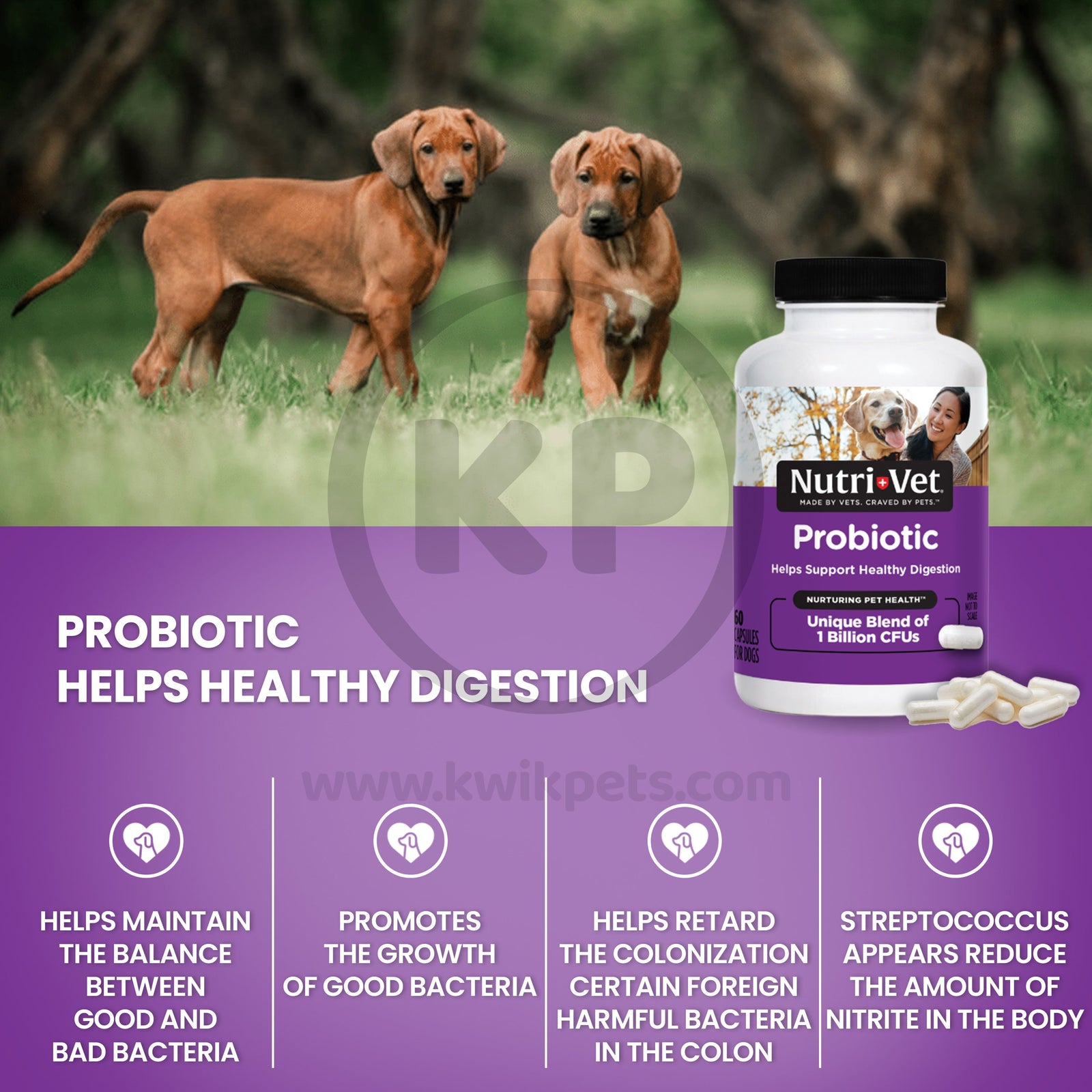Nutri-Vet Probiotics for Dogs Details