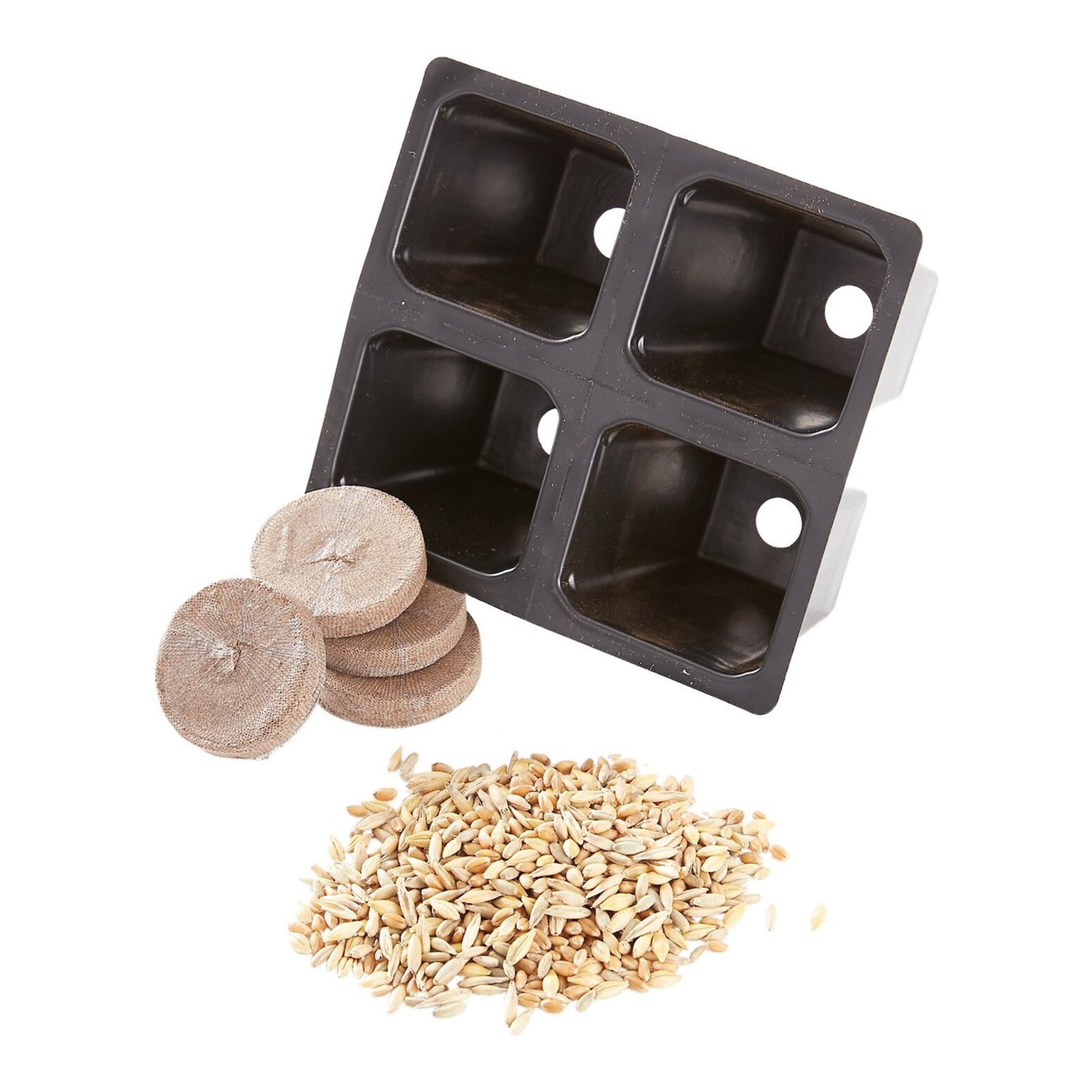 smartcat kitty's garden seed refill kit Kitty's Garden Refill