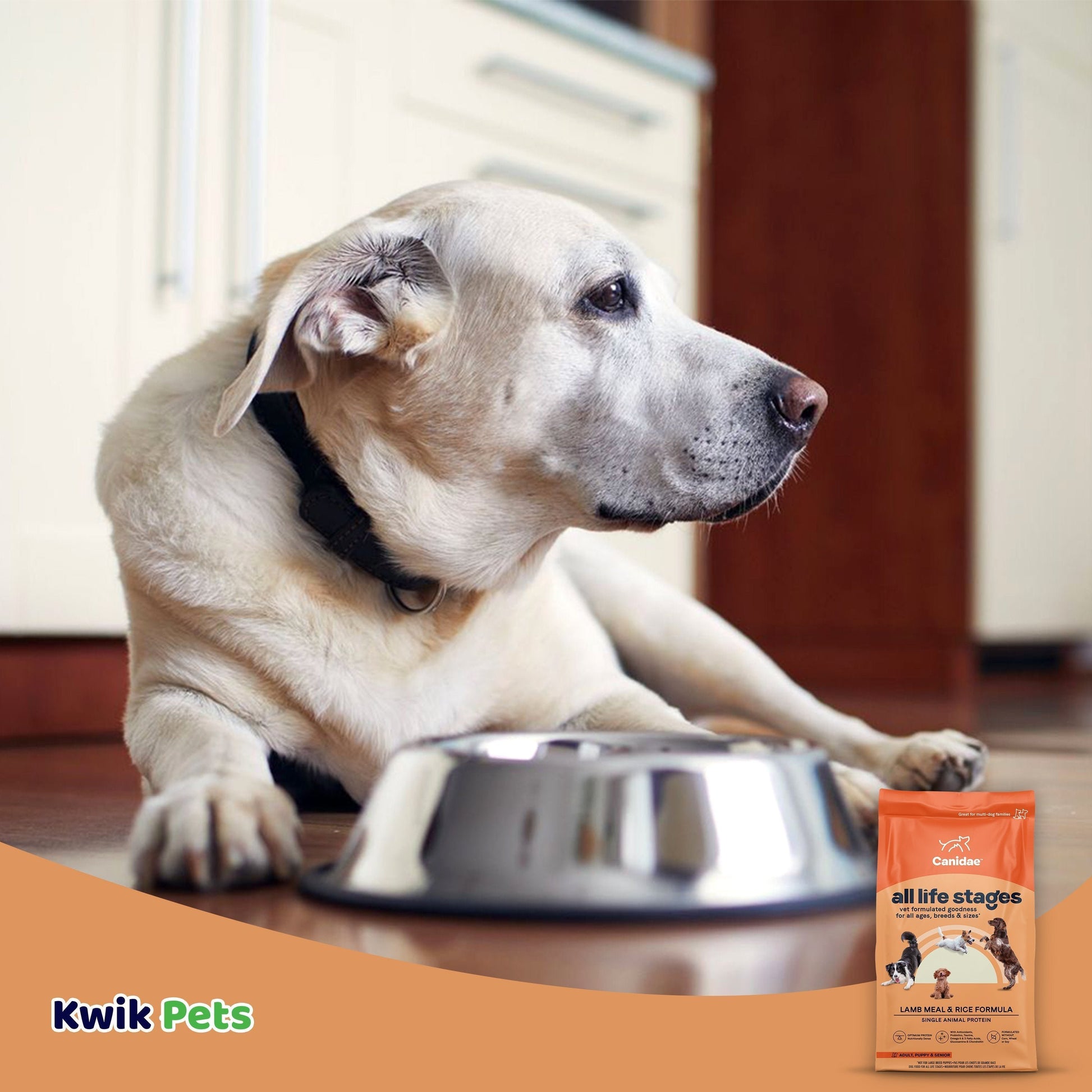 Dog Image of CANIDAE All Life Stages Dry Dog Food Lamb Meal & Rice Formula 5-lb
