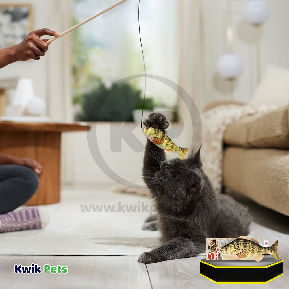 Cat playing with Ethical Pet Spot Gone Fishin' Teaser Wand Cat Toy with Catnip Assorted