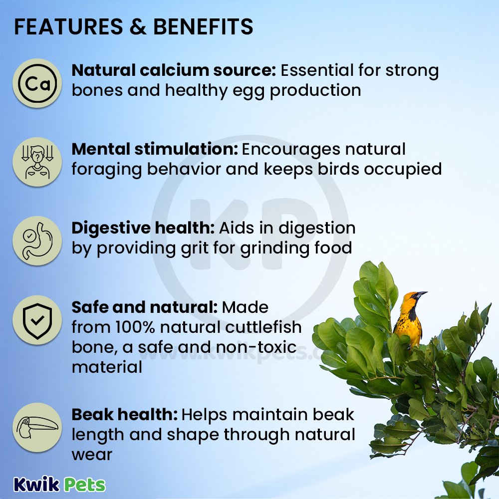 A & E Cage Captain Cuttlebone Flavored Bird Treat 6-in 2 Count, Kwik Pets