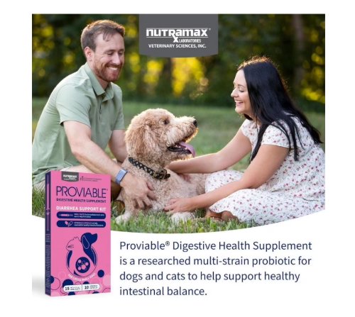 Nutramax Laboratories Proviable Digestive Health Diarrhea Support Kit for Cats and Small Dogs Oral Paste & Sprinkle Capsules 10 Count
